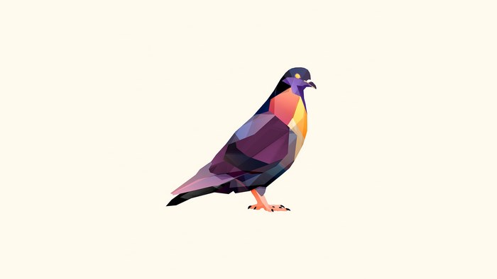 Geometric Pigeon