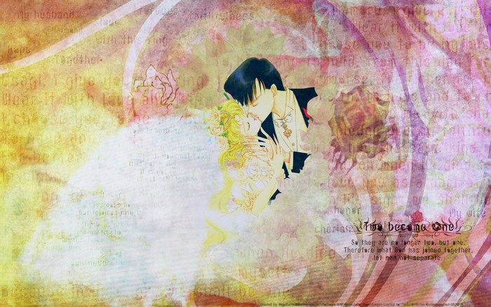 Usagi and Mamoru from Sailor Moon