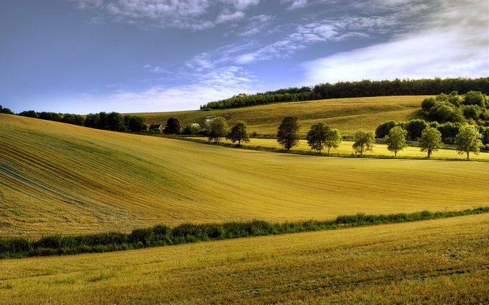 Golden fields and rolling hills under a blue sky