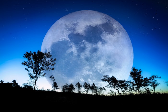 Giant full moon over silhouetted trees at twilight