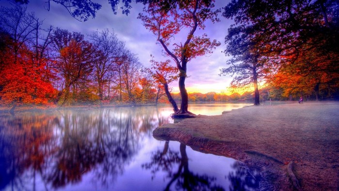 Autumn forest reflected in a misty lake at sunrise