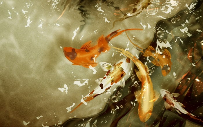 Graceful Koi Fish Swimming Beneath Water Surface