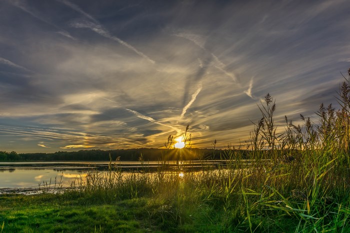 Sunset over a lake with reeds and clouds