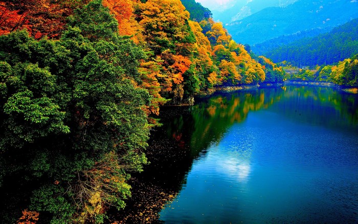 Autumn trees reflecting in a lake