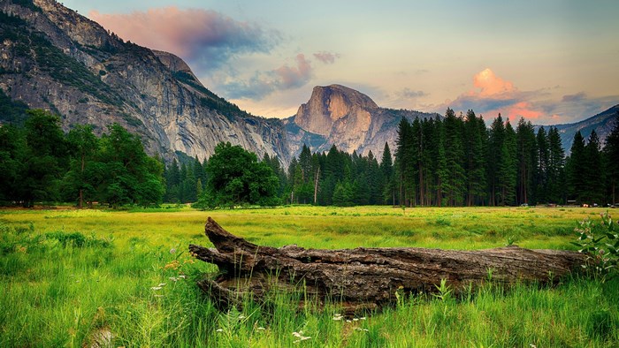 Yosemite National Park with Half Dome and fallen log