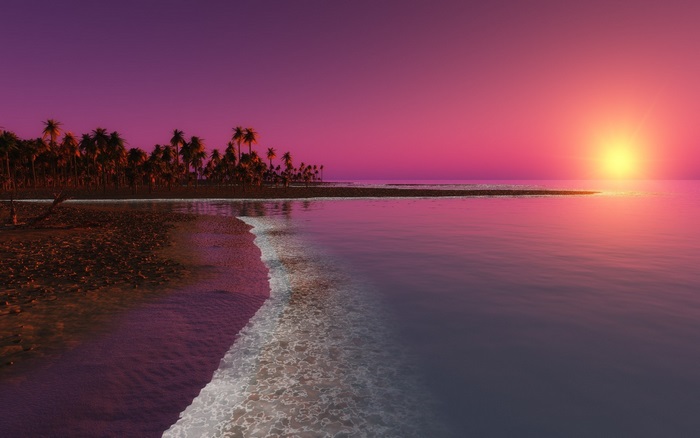 Tropical beach at sunset with palm trees