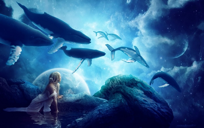 Whales swimming in a starry sky with a girl