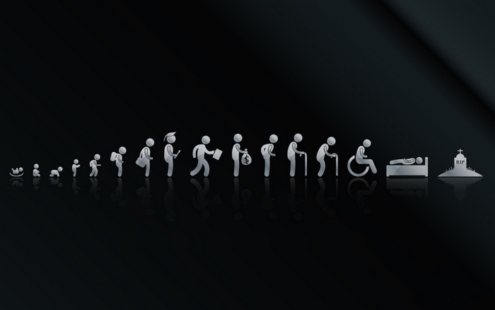 Life cycle progression from birth to death