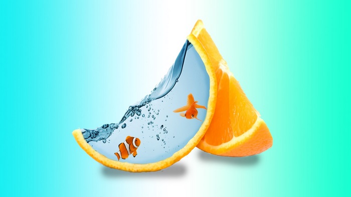 Orange slice aquarium with fish