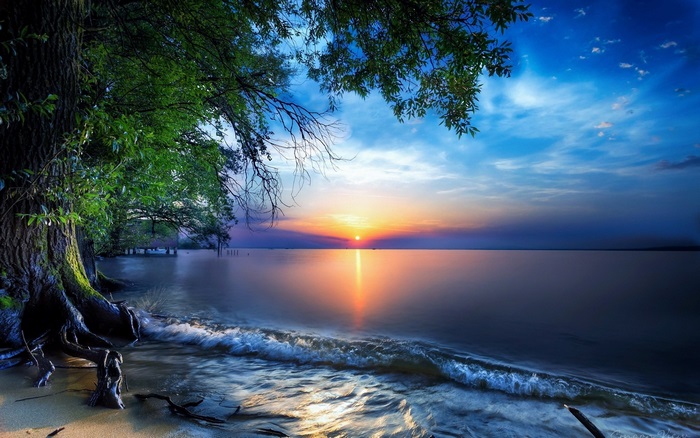 Serene Sunset Over Calm Lake with Tree Silhouettes