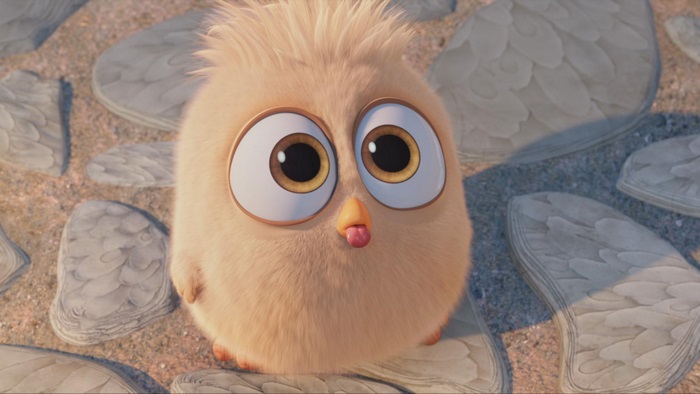 Angry Birds Angry Chick 4K