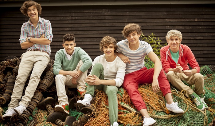 One Direction 4K Group Photo Sitting Outdoors