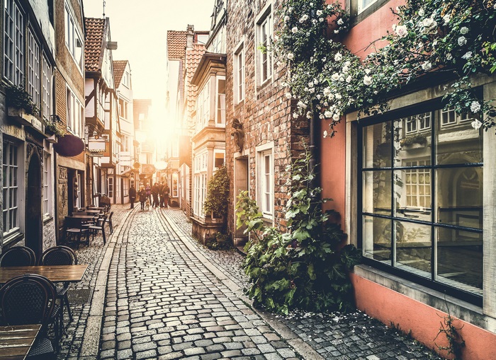 Charming Paris Street with Warm Sunlight and Flowers 4K