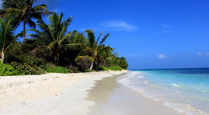 Flamenco Beach 4K