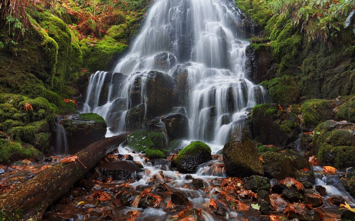 Mossy Waterfall in Autumn Forest