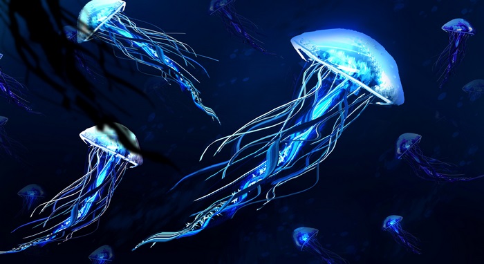 Glowing Blue Jellyfish in Deep Sea 4K