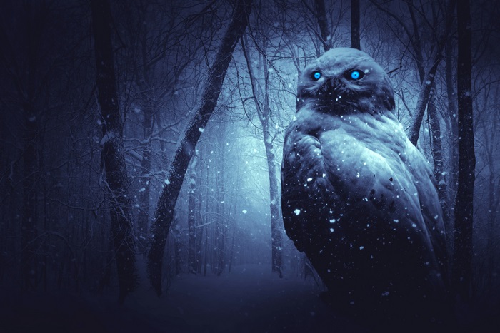 Owl with glowing blue eyes in a snowy forest
