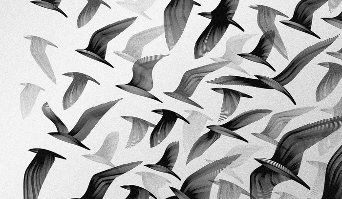 Monochrome artwork of a flock of birds in flight