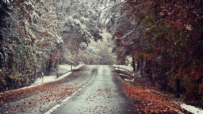 Road covered in snow and autumn leaves