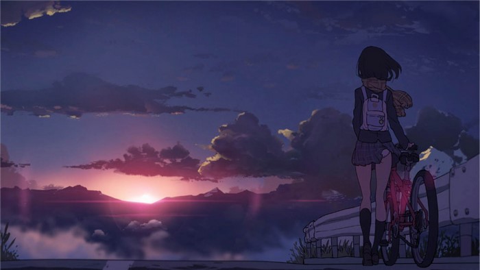Girl with bicycle at sunset