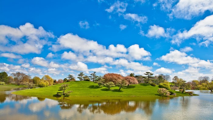 Island with trees and lake under blue sky