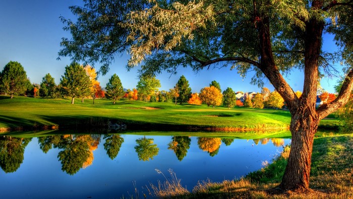 Colorful Autumn Trees Reflected in Calm River