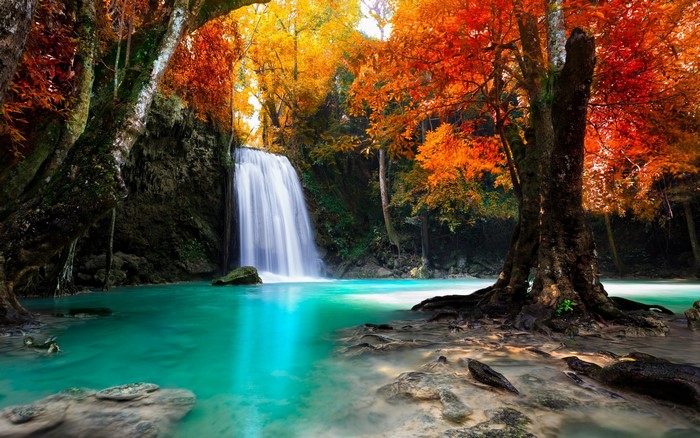Waterfall in a tropical forest with colorful autumn trees