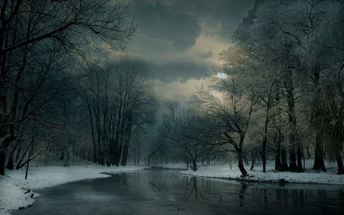 Winter forest with river and snow