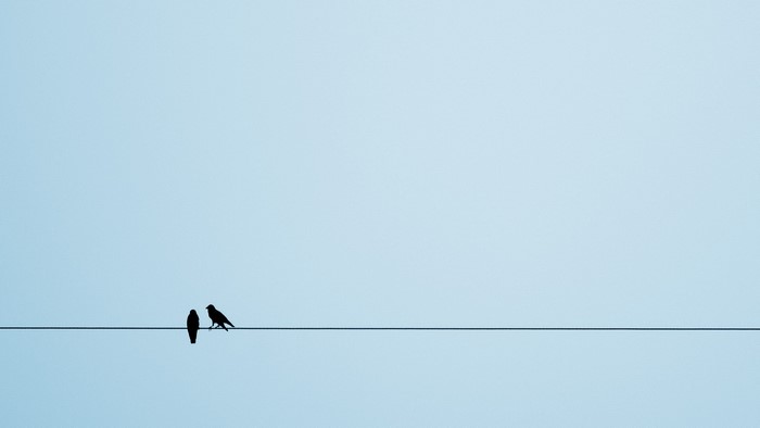 Silhouettes of Two Birds on a Wire