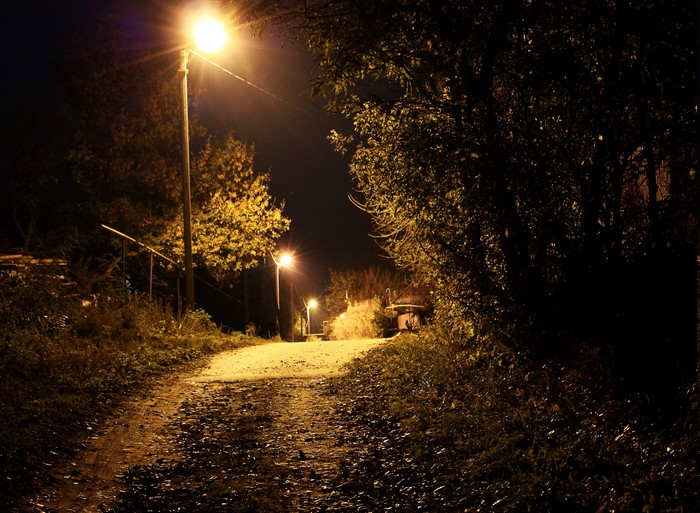 Dimly Lit Pathway Through Nature at Night