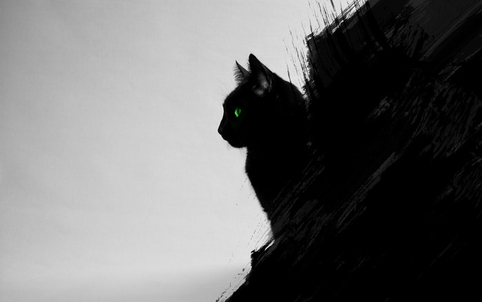 Black cat with green eyes on a textured background