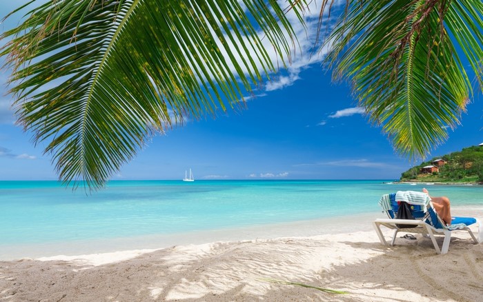 Tropical beach with palm trees and sailboat