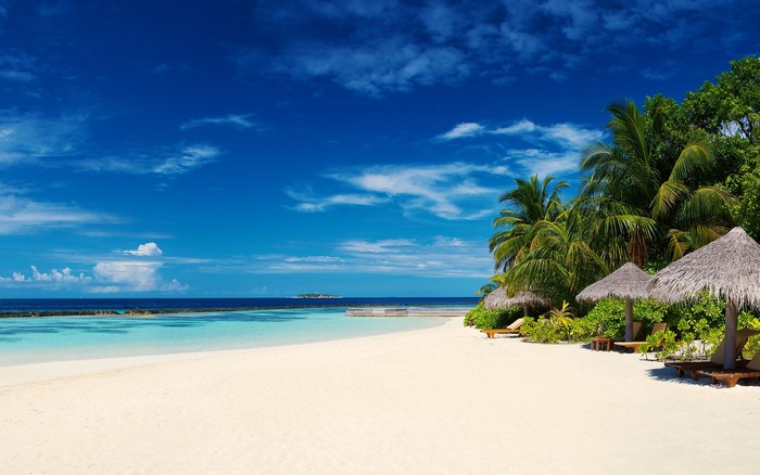 Tropical beach with palm trees and thatched umbrellas