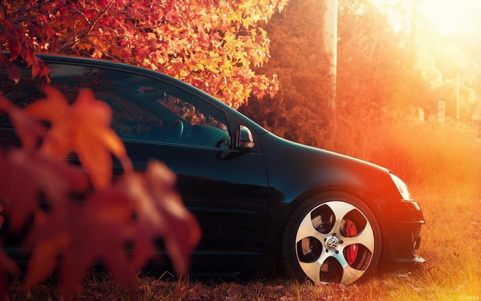 Black Volkswagen Golf MK5 with Autumn Foliage