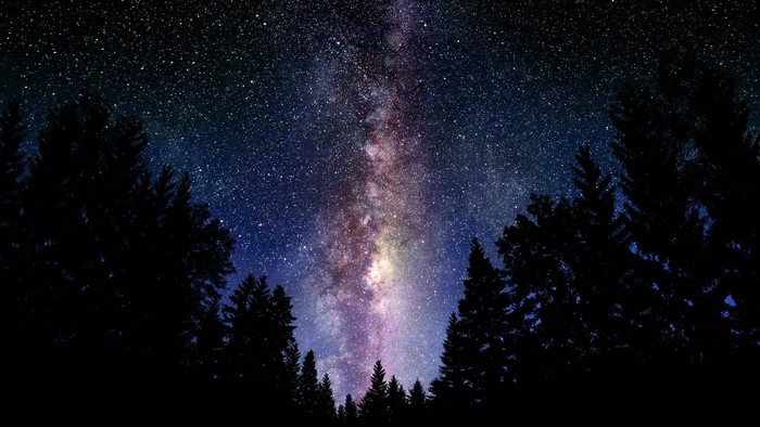 Starry Night Sky Over Forest Clearing