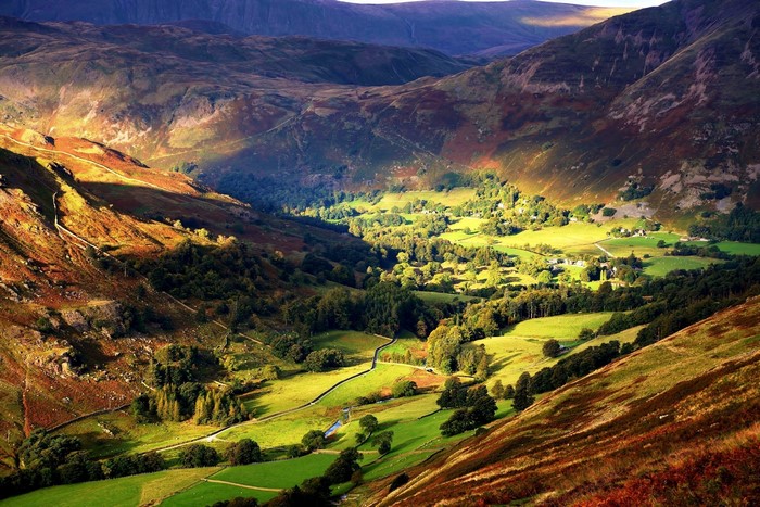 Sunlit Valley with Rolling Hills and Trees