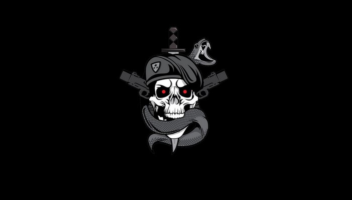 Skull with snake, guns, and dagger from Call of Duty