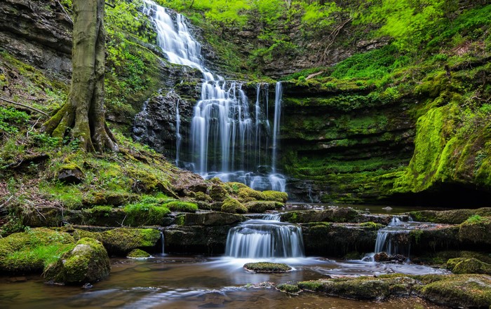Waterfall in a green forest