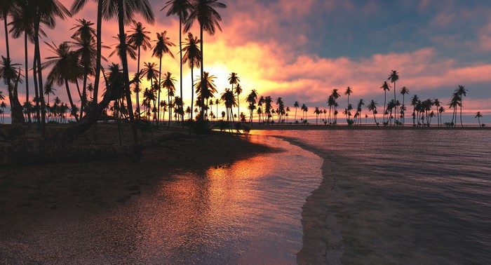 Tropical beach with palm trees at sunset