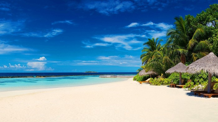Tropical beach with palm trees and thatched umbrellas