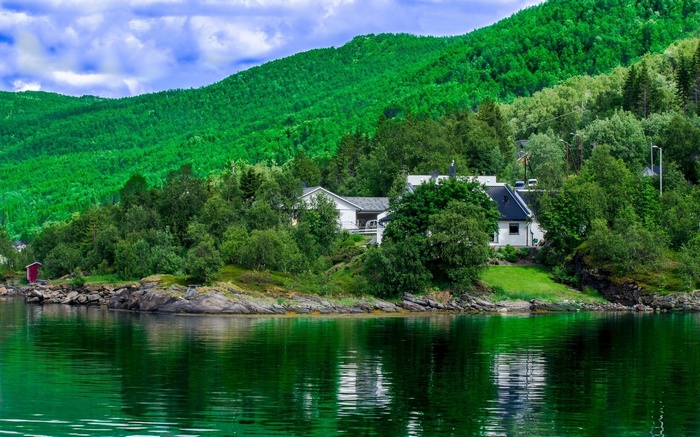 Houses on a forested hillside overlooking a lake