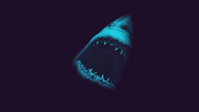 Great white shark with open mouth