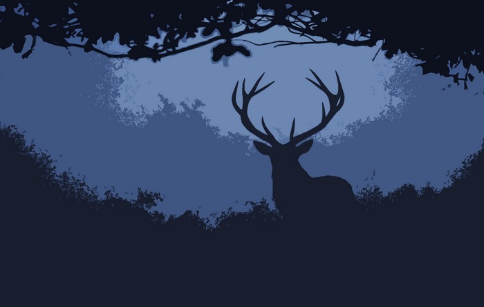 Silhouette of a deer with antlers in a dark forest