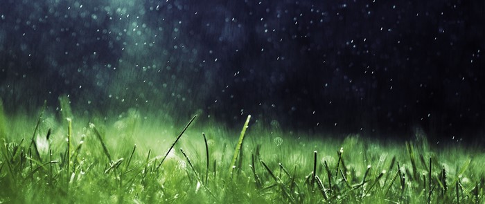 Rain falling on green grass with bokeh