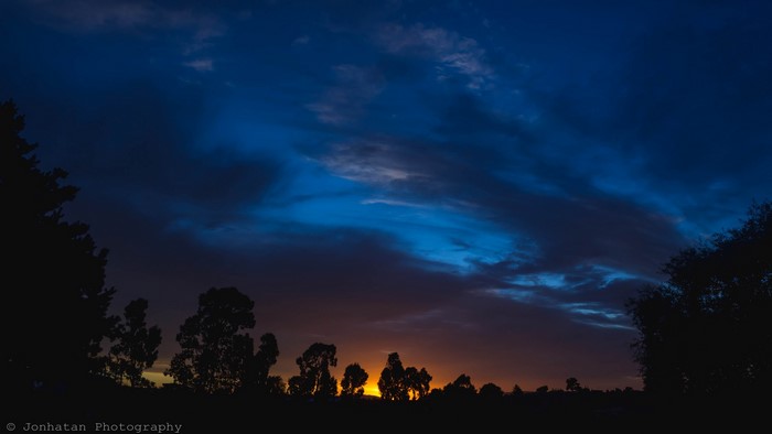 Silhouette of trees against a twilight sky