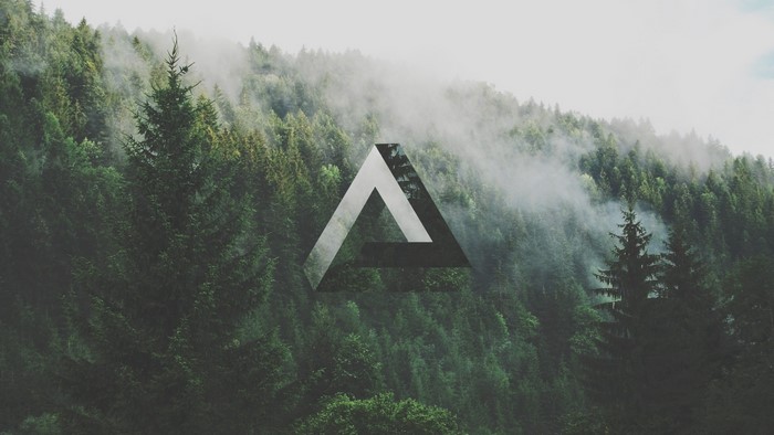 Geometric triangle logo over misty forest