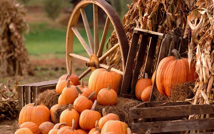 Pumpkins and wagon wheel at a farm