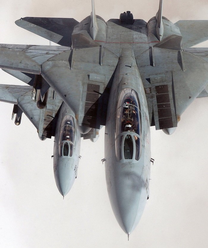 Grumman F-14 Tomcat jet fighter aircraft
