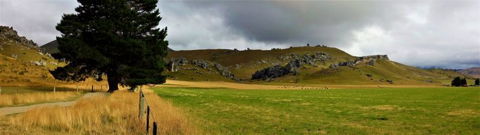New Zealand landscape with rocky hills and trees