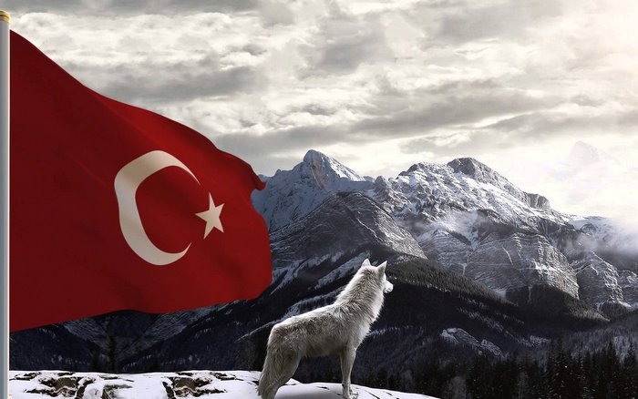 Turkish flag and wolf in snowy mountains
